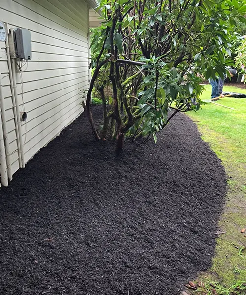 Landscape Maintenance in Bellevue 